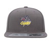 Picture of Applewood Coyotes Snapback Cap