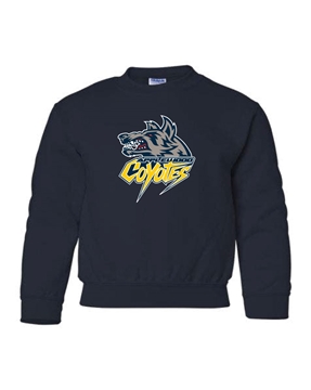 Picture of Applewood Coyotes Youth Sweatshirt