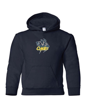 Picture of Applewood Coyotes Youth Hooded Sweatshirt