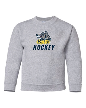 Picture of Applewood Coyotes Hockey Youth Sweatshirt 