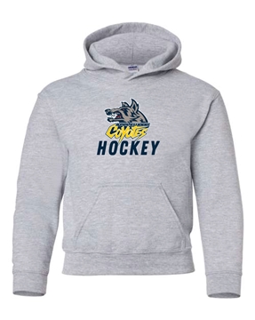 Picture of Applewood Coyotes Hockey Youth Hooded Sweatshirt