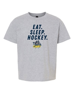 Picture of Eat. Sleep. Hockey. Youth T-Shirt
