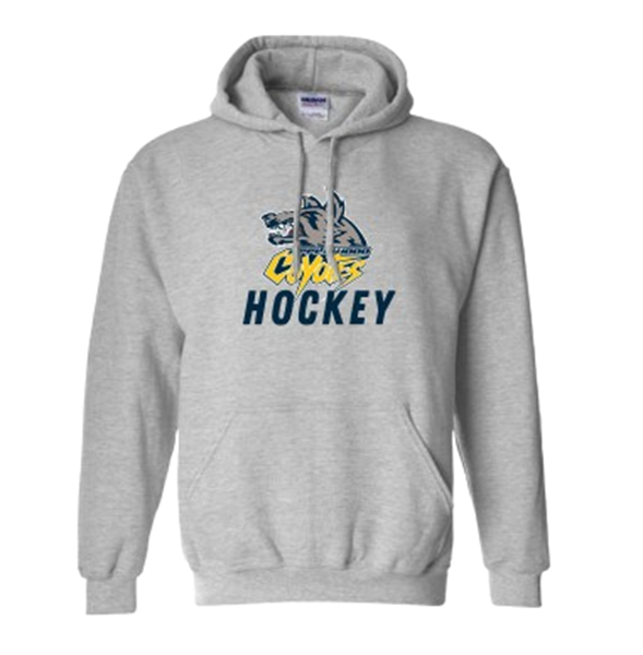 Picture of Applewood Coyotes Hockey Hooded Sweatshirt